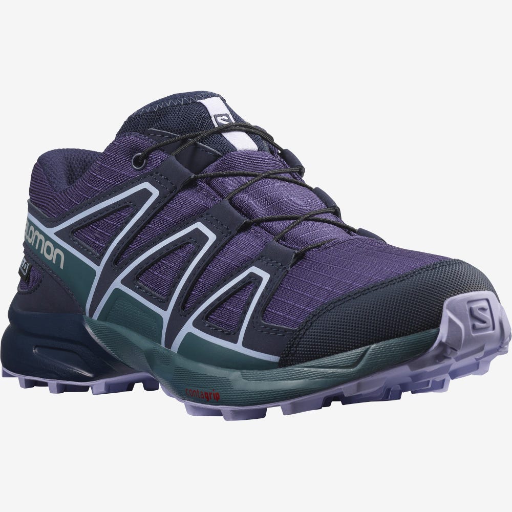 Kids' Salomon SPEEDCROSS CLIMASALOMON™ WATERPROOF Hiking Boots Purple/Blue/Lavender | BYNO-71805