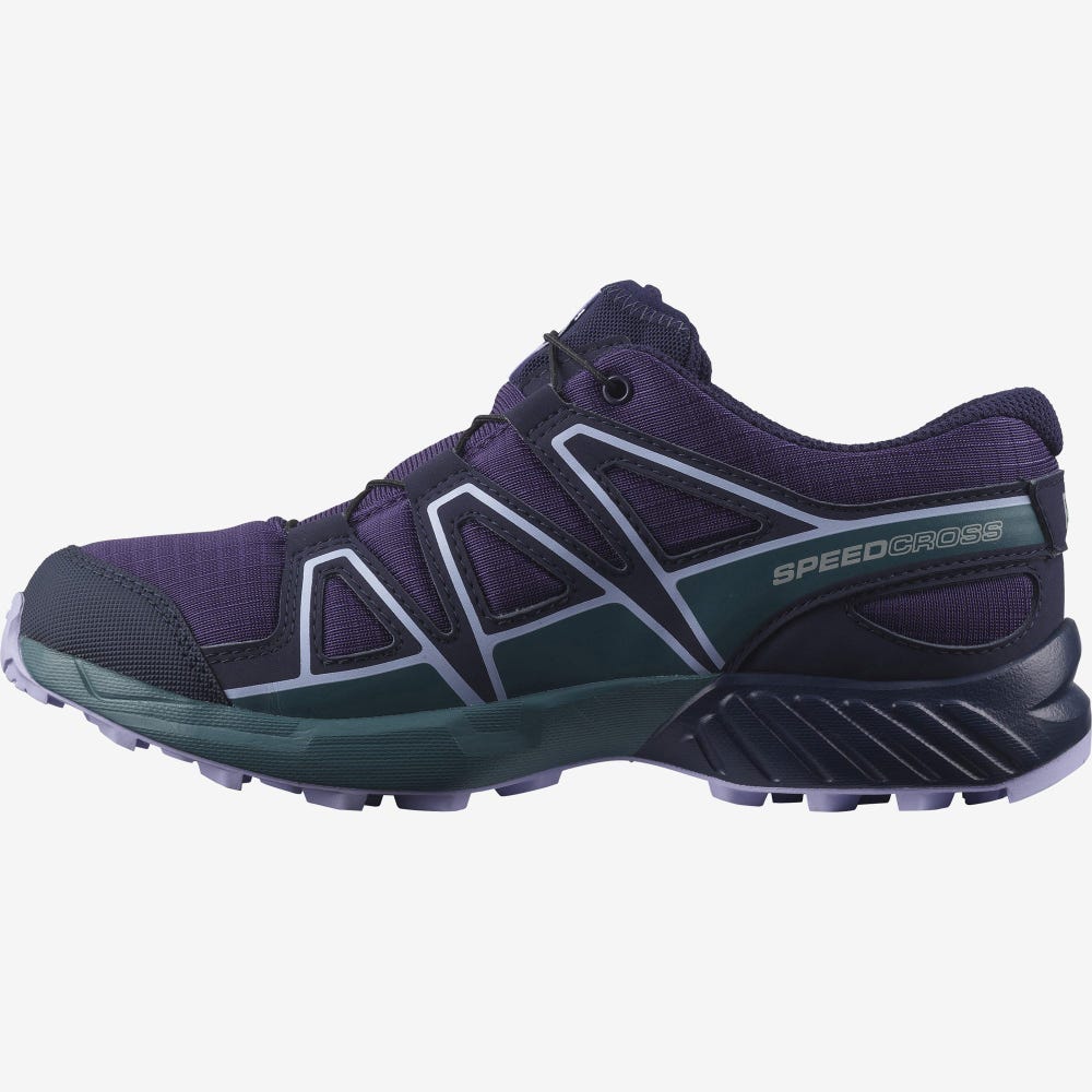 Kids' Salomon SPEEDCROSS CLIMASALOMON™ WATERPROOF Hiking Boots Purple/Blue/Lavender | BYNO-71805