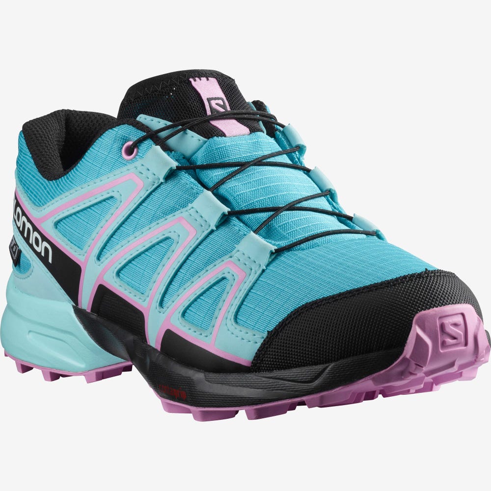 Kids' Salomon SPEEDCROSS CLIMASALOMON™ WATERPROOF Hiking Boots Blue/Turquoise/Purple | WCSE-38649