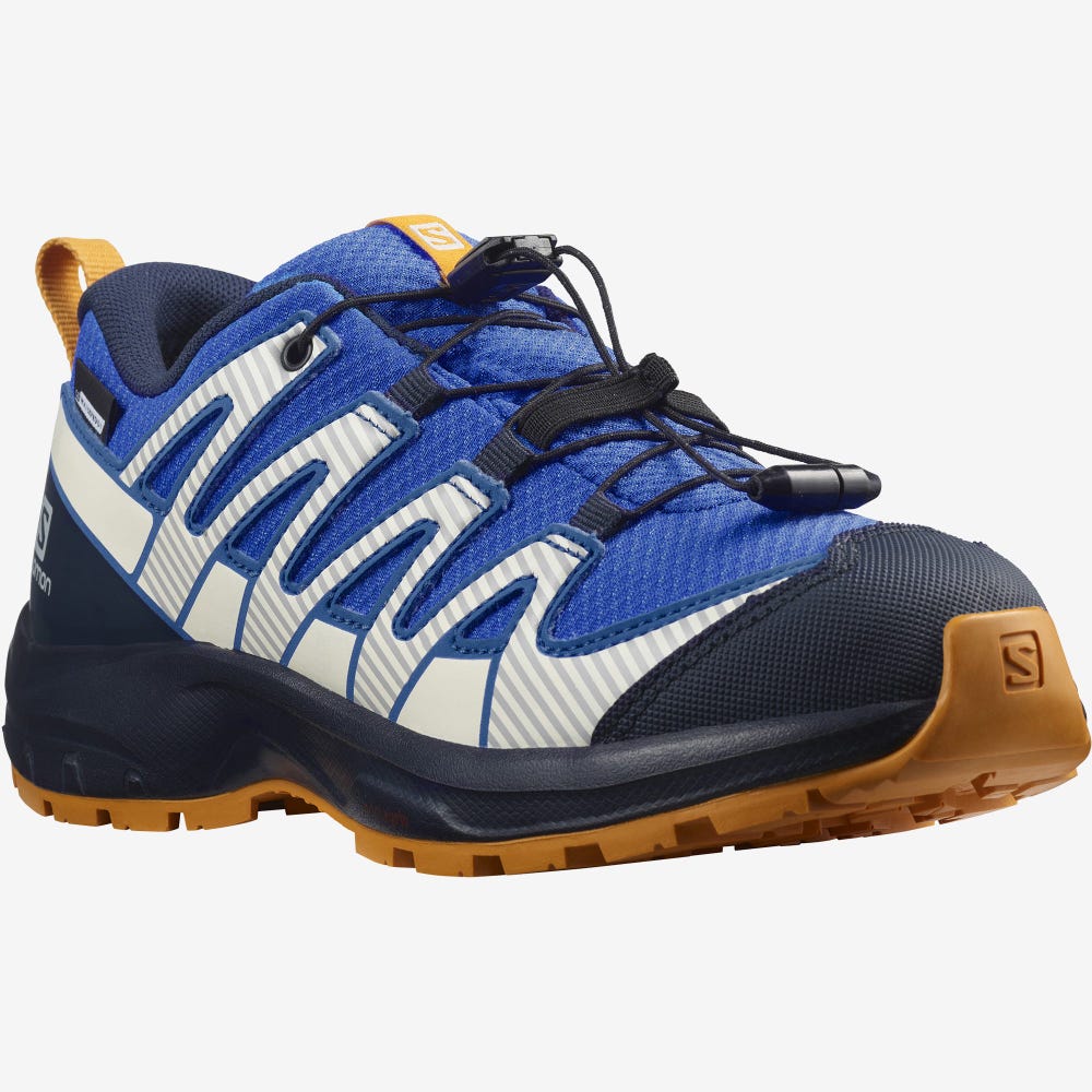 Kids' Salomon XA PRO V8 CLIMASALOMON™ WATERPROOF Hiking Boots Blue/Navy | BGUT-45320