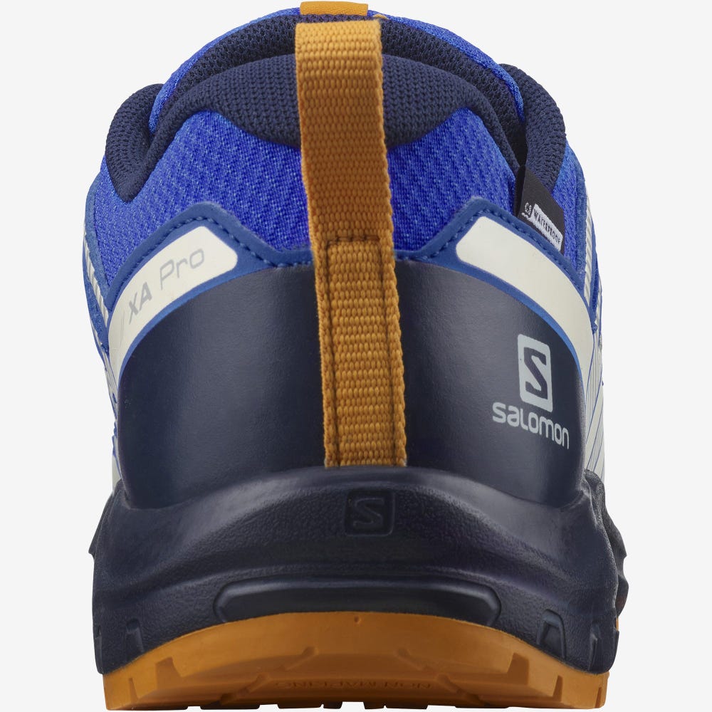 Kids' Salomon XA PRO V8 CLIMASALOMON™ WATERPROOF Hiking Boots Blue/Navy | BGUT-45320
