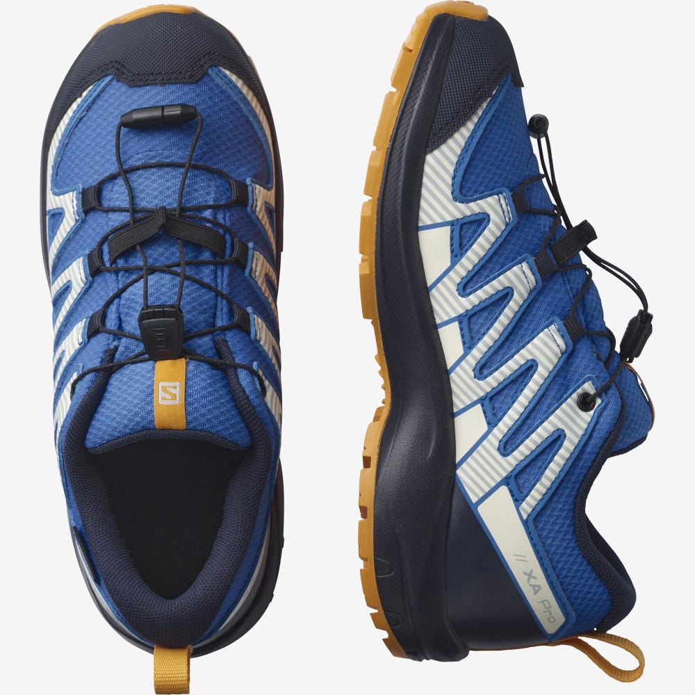 Kids' Salomon XA PRO V8 CLIMASALOMON™ WATERPROOF Hiking Boots Blue/Navy | BGUT-45320