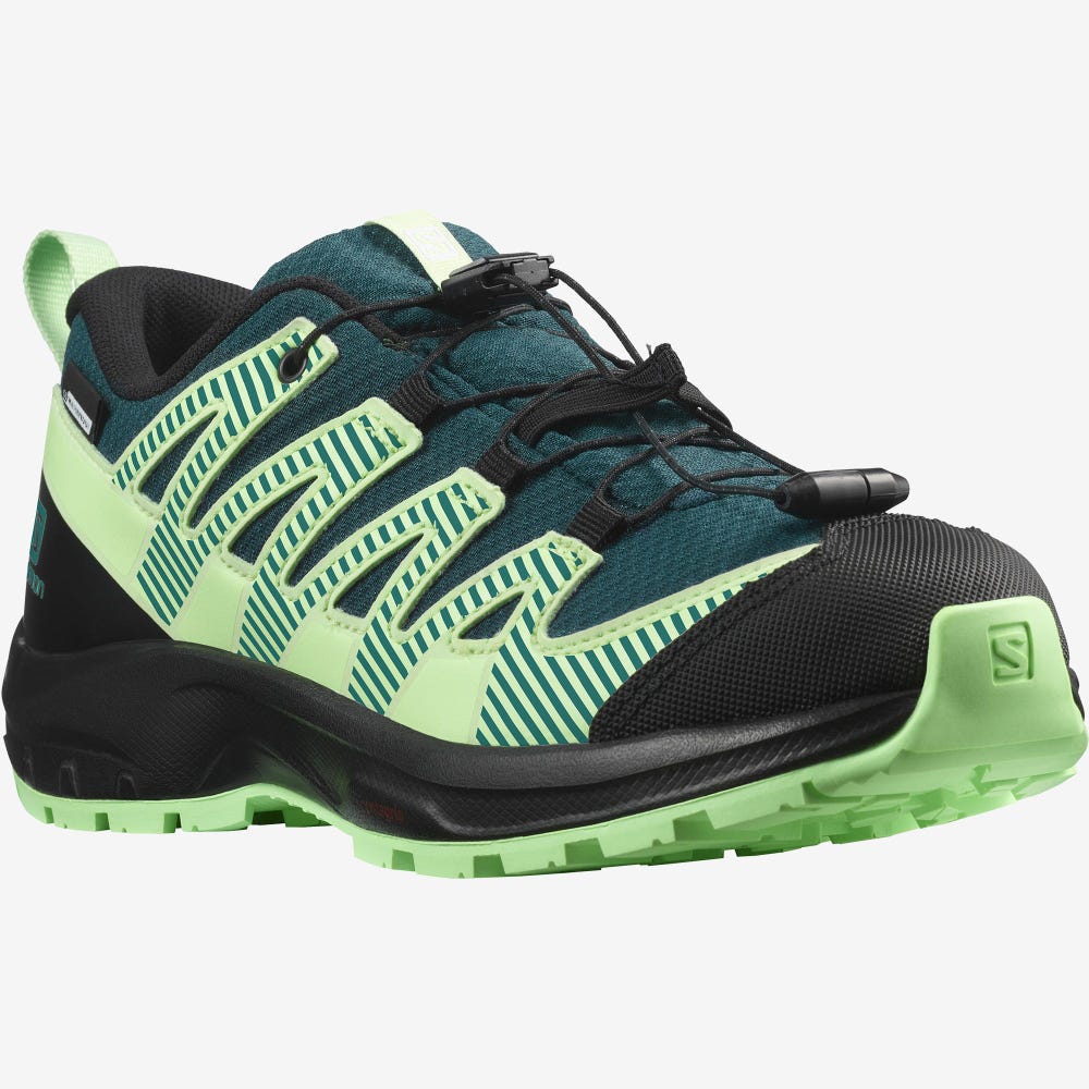 Kids' Salomon XA PRO V8 CLIMASALOMON™ WATERPROOF Hiking Boots Deep Turquoise/Black/Green | DMIU-75391
