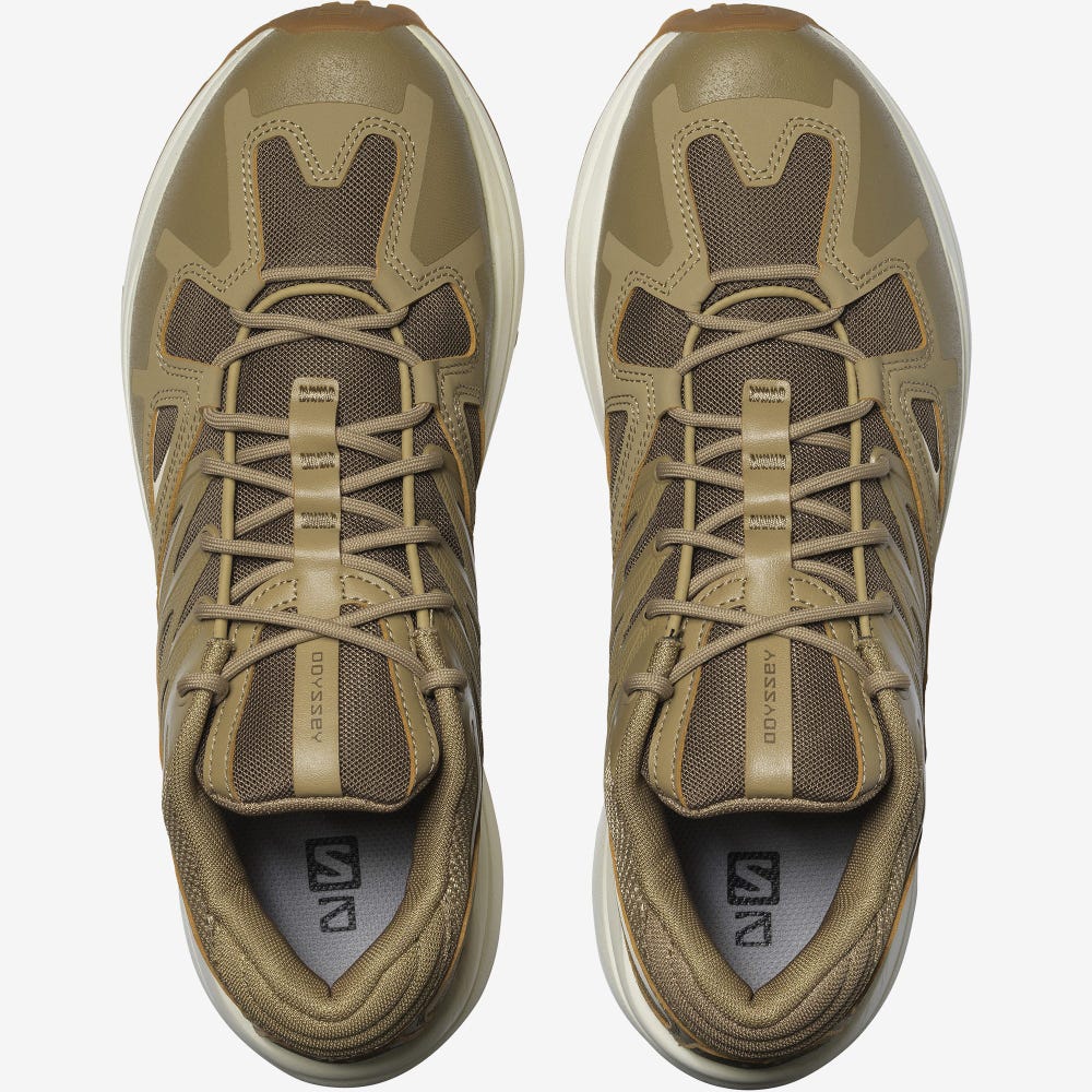 Men's Salomon ODYSSEY 1 ADVANCED Sneakers Brown | TQCO-73854
