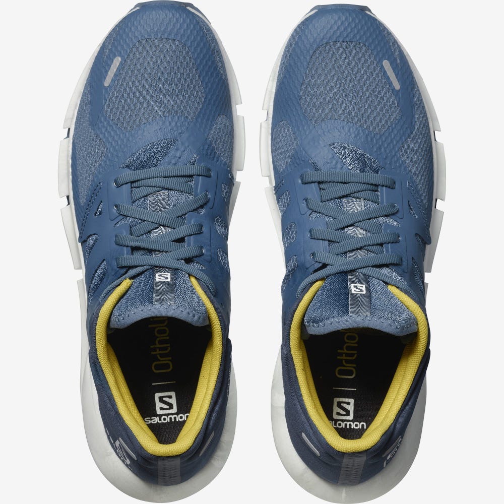 Men's Salomon PREDICT 2 Running Shoes Blue/Dark Blue | UYVW-14372