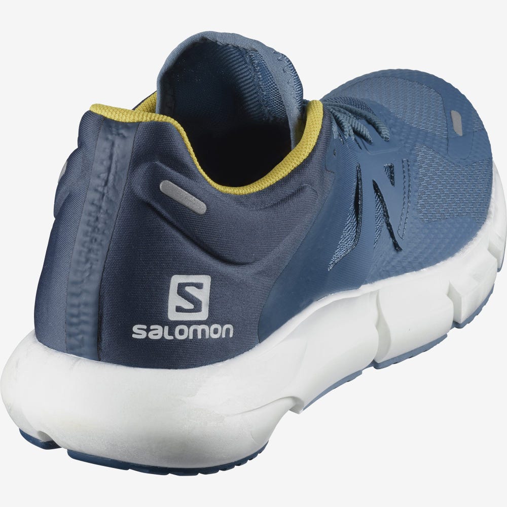 Men's Salomon PREDICT 2 Running Shoes Blue/Dark Blue | UYVW-14372