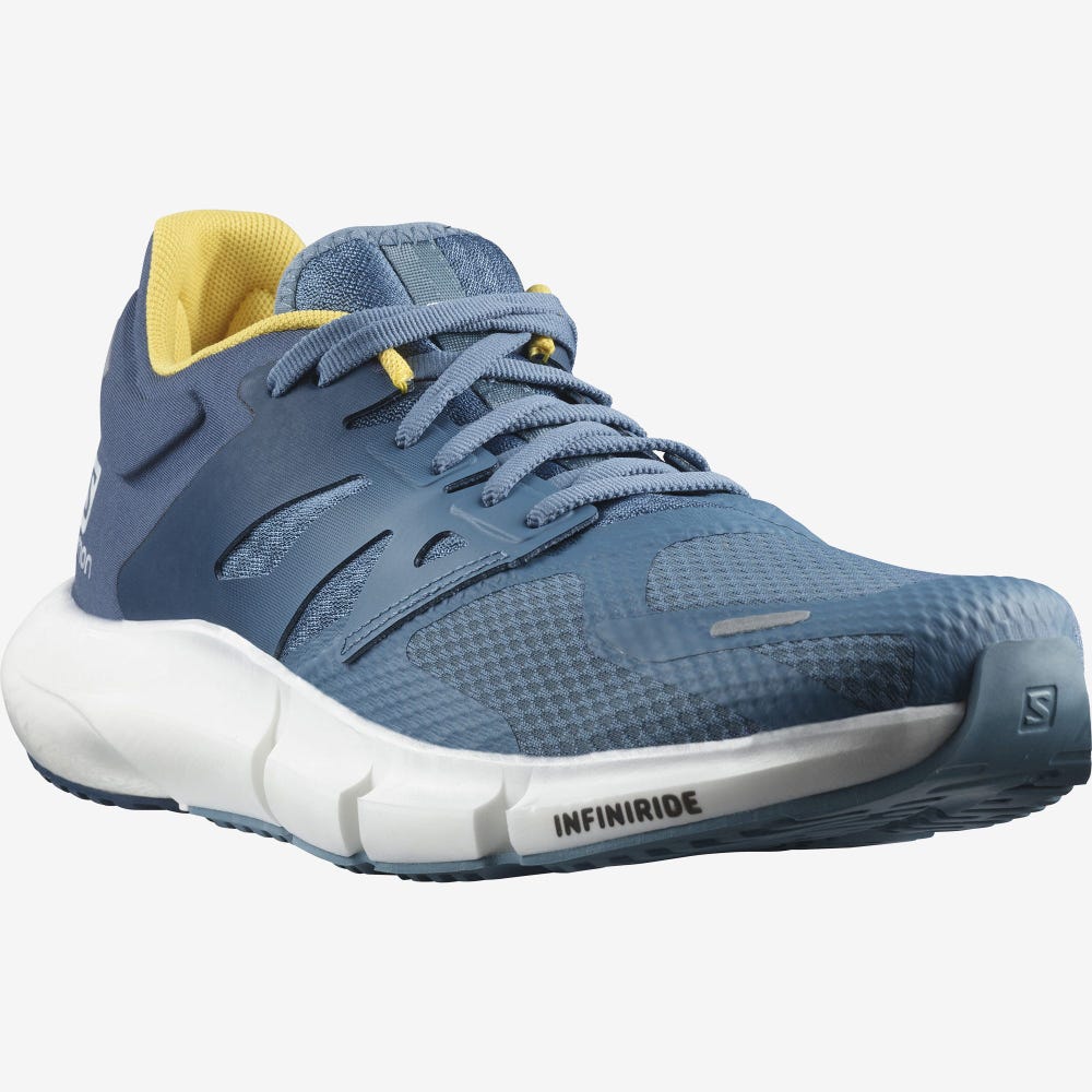 Men's Salomon PREDICT 2 Running Shoes Blue/Dark Blue | UYVW-14372
