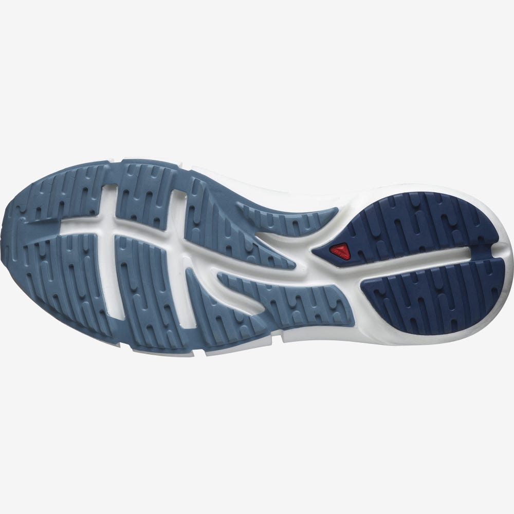 Men's Salomon PREDICT 2 Running Shoes Blue/Dark Blue | UYVW-14372