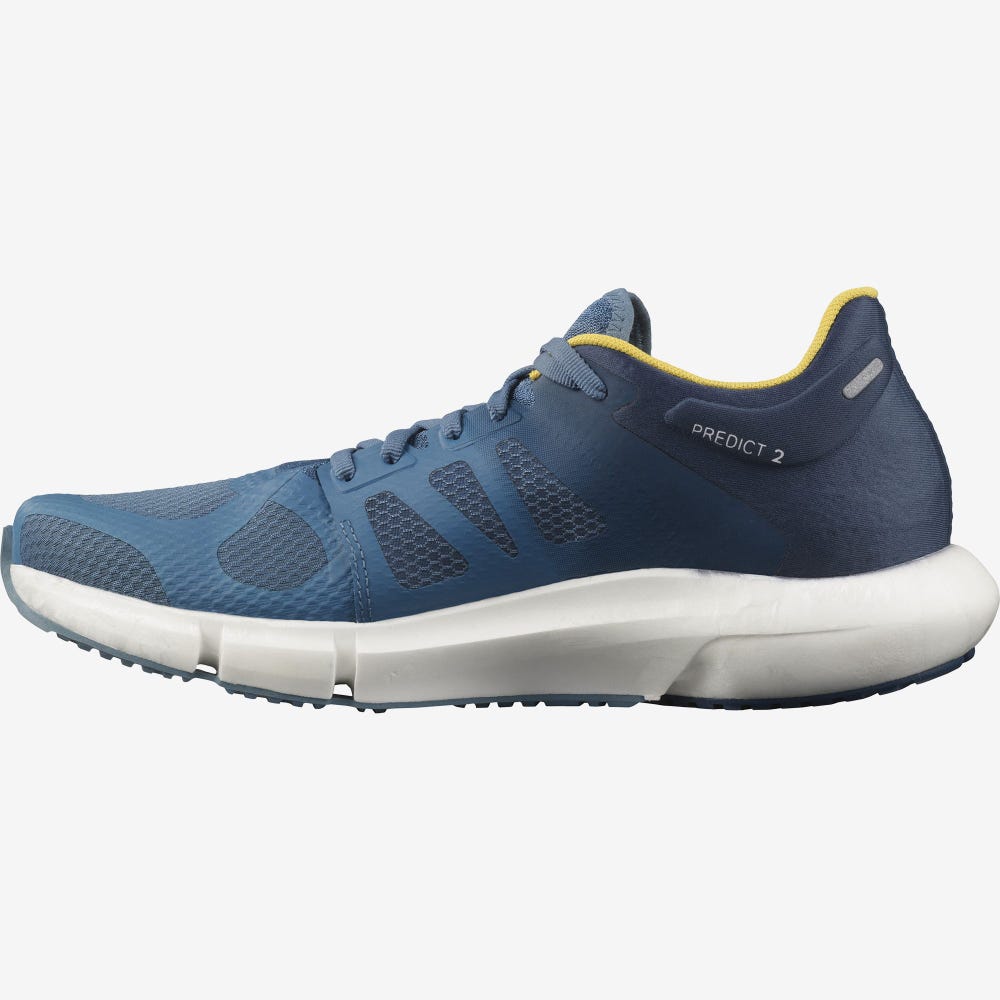 Men's Salomon PREDICT 2 Running Shoes Blue/Dark Blue | UYVW-14372