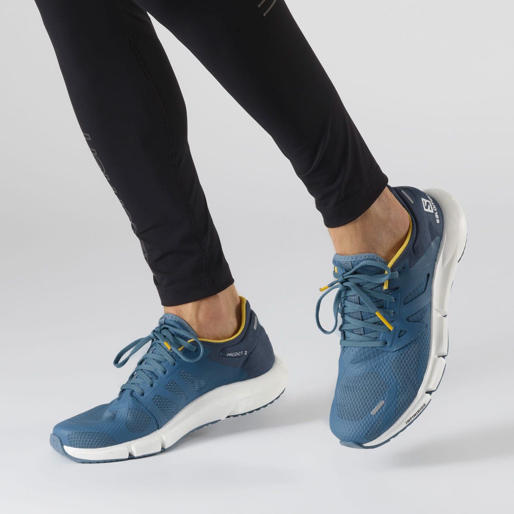 Men's Salomon PREDICT 2 Running Shoes Blue/Dark Blue | UYVW-14372