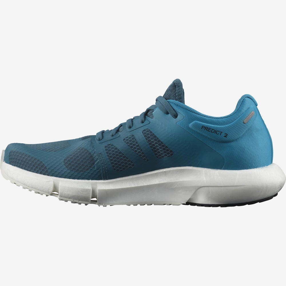 Men's Salomon PREDICT 2 Running Shoes Blue/Black | YHXB-62043