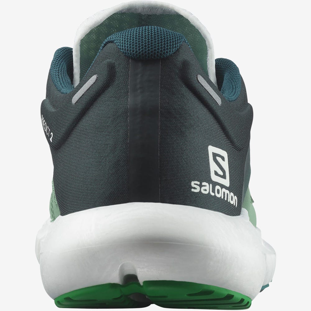 Men's Salomon PREDICT 2 Running Shoes Grey Green/Deep Green/Light Green | CFVW-64591