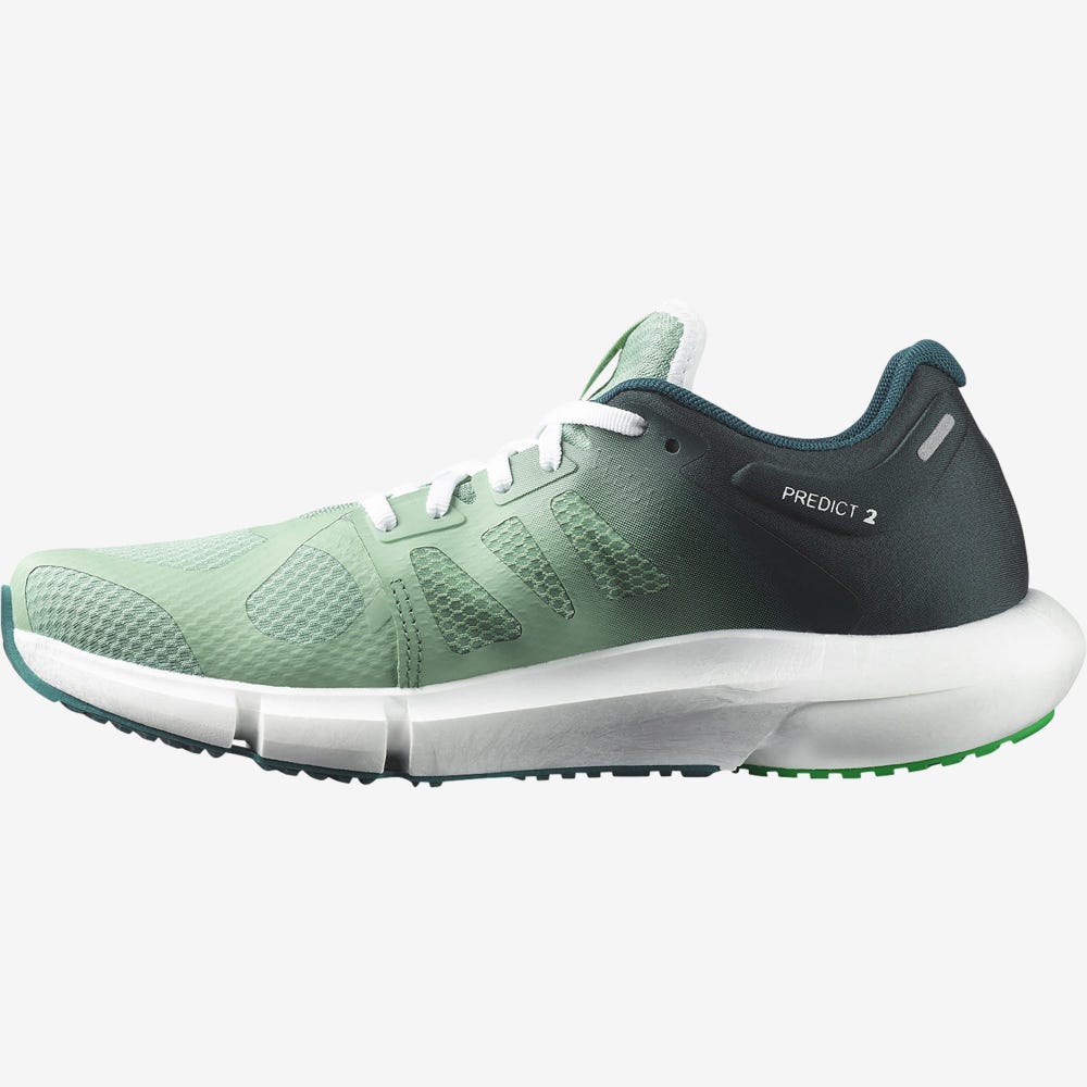 Men's Salomon PREDICT 2 Running Shoes Grey Green/Deep Green/Light Green | CFVW-64591