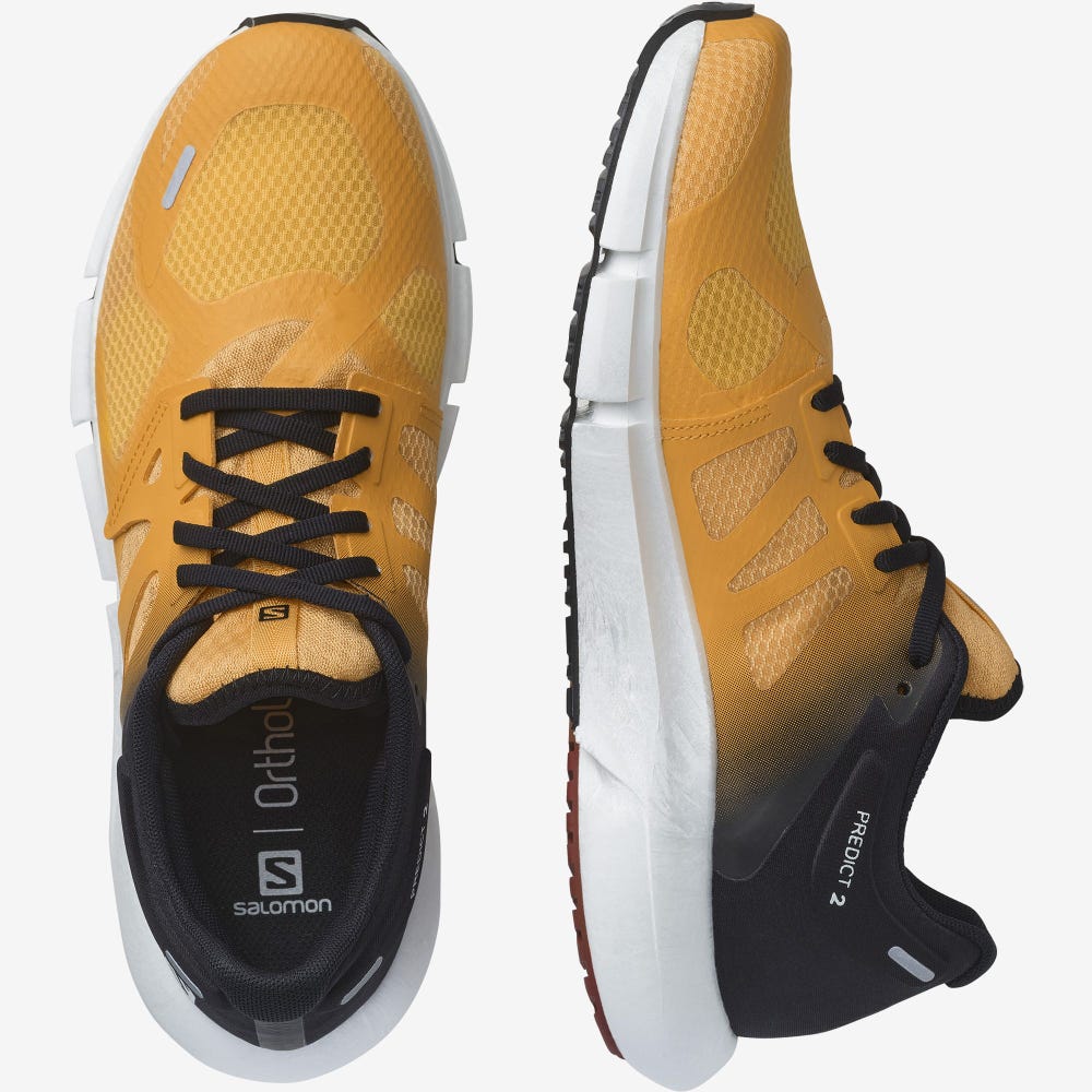 Men's Salomon PREDICT 2 Running Shoes Orange/Black | IFMQ-52173