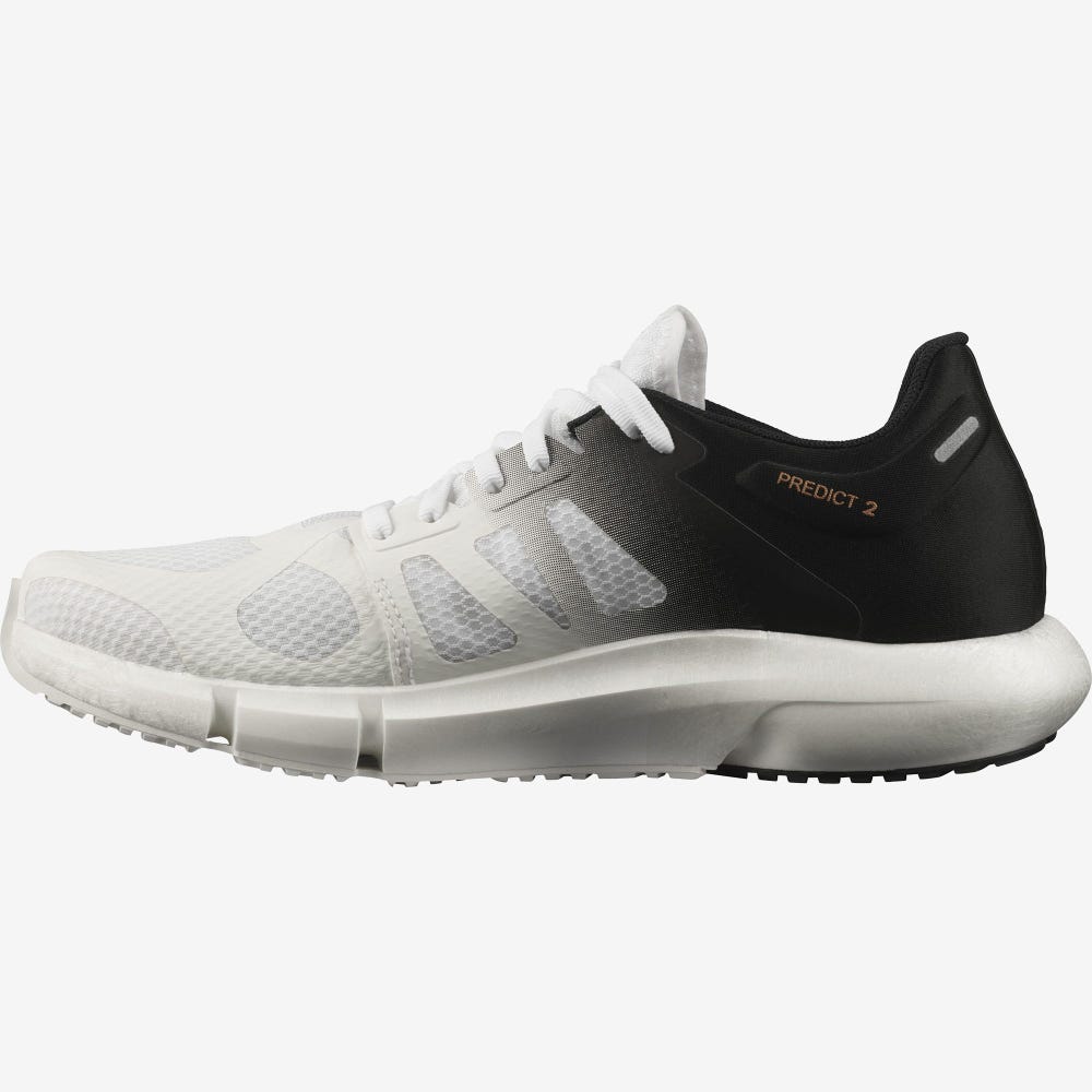 Men's Salomon PREDICT 2 Running Shoes White/Black/White | GFQB-76914