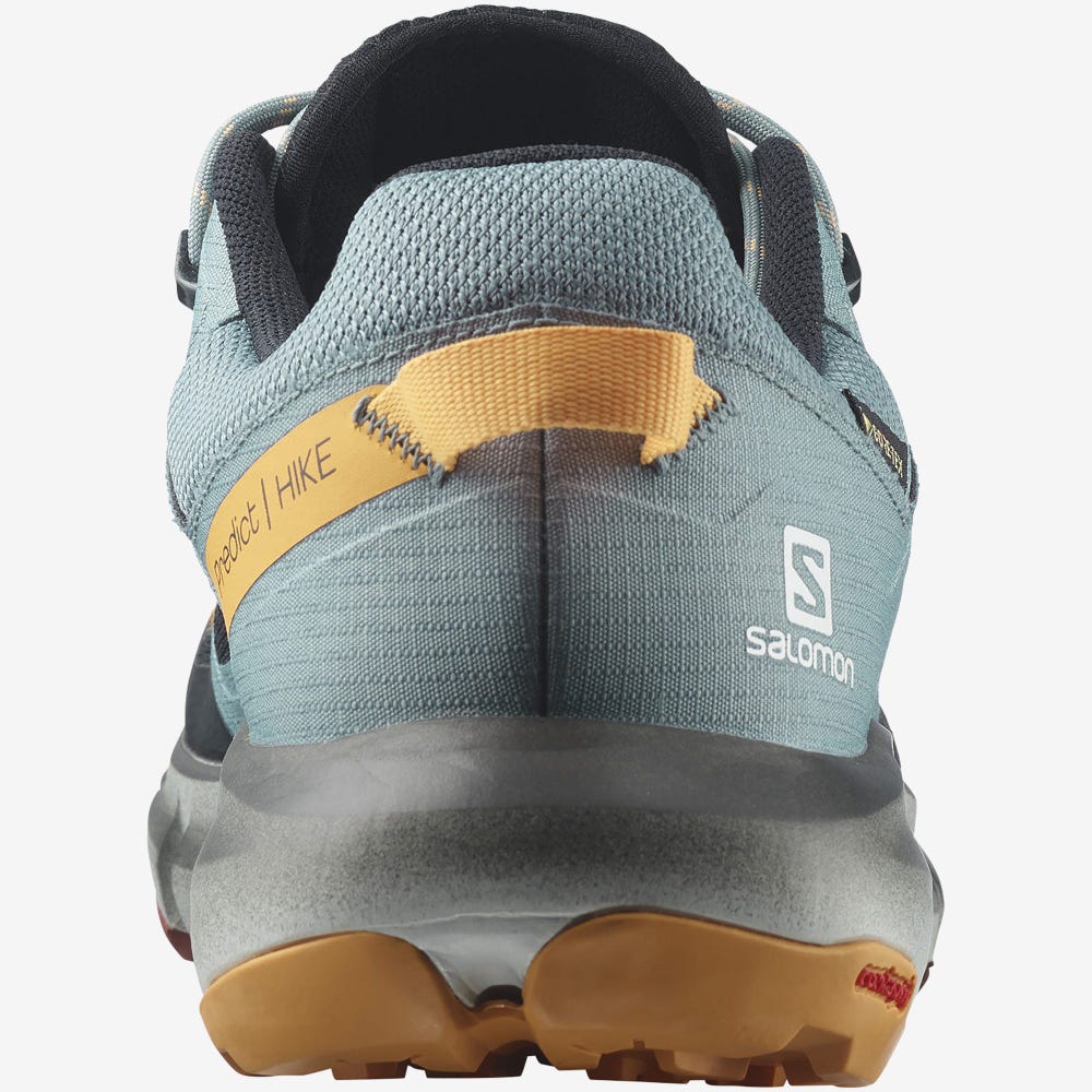 Men's Salomon PREDICT HIKE GORE-TEX Hiking Shoes Black/Orange | YQLN-09738