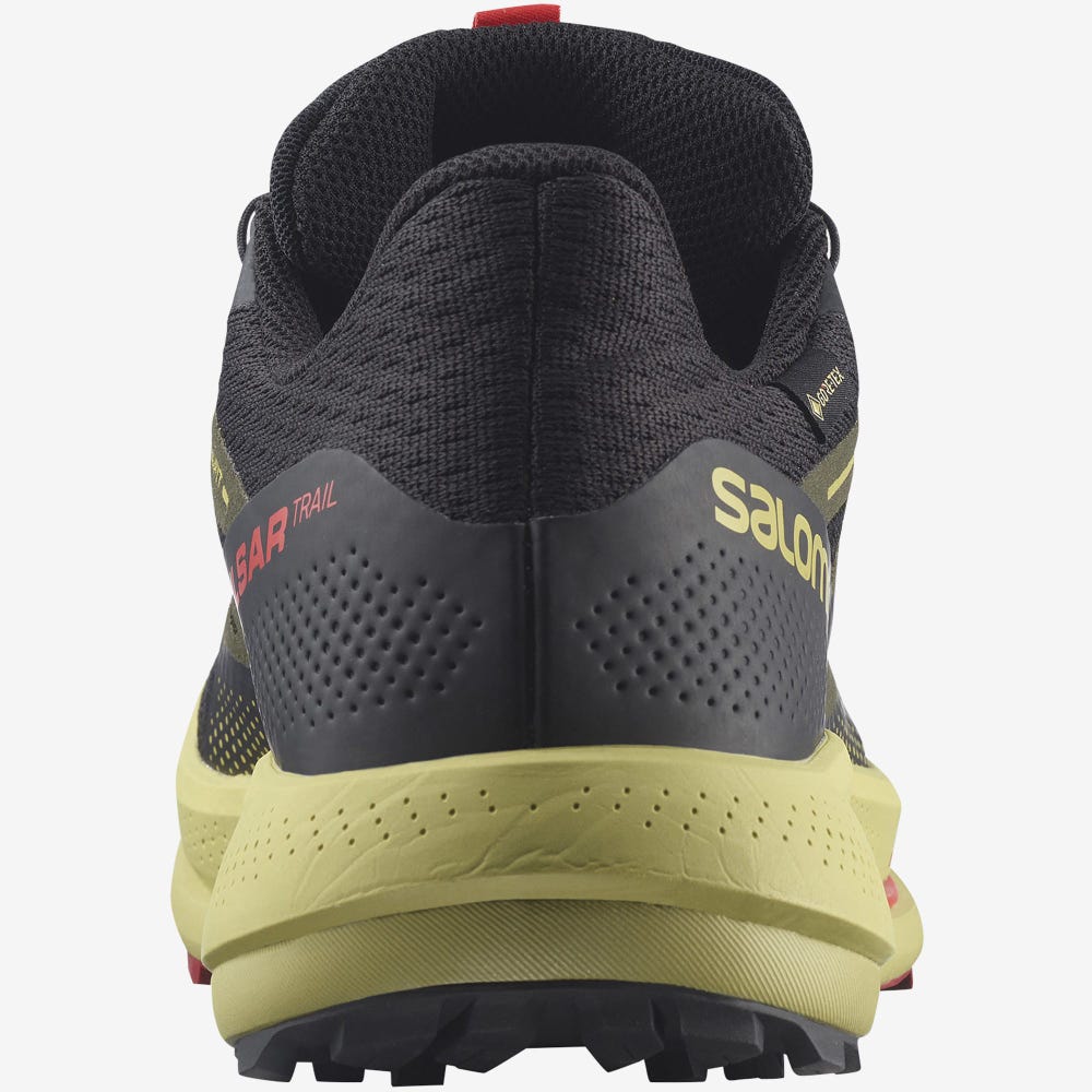 Men's Salomon PULSAR TRAIL GORE-TEX Trail Running Shoes Black/Green/Red | RPXM-17942