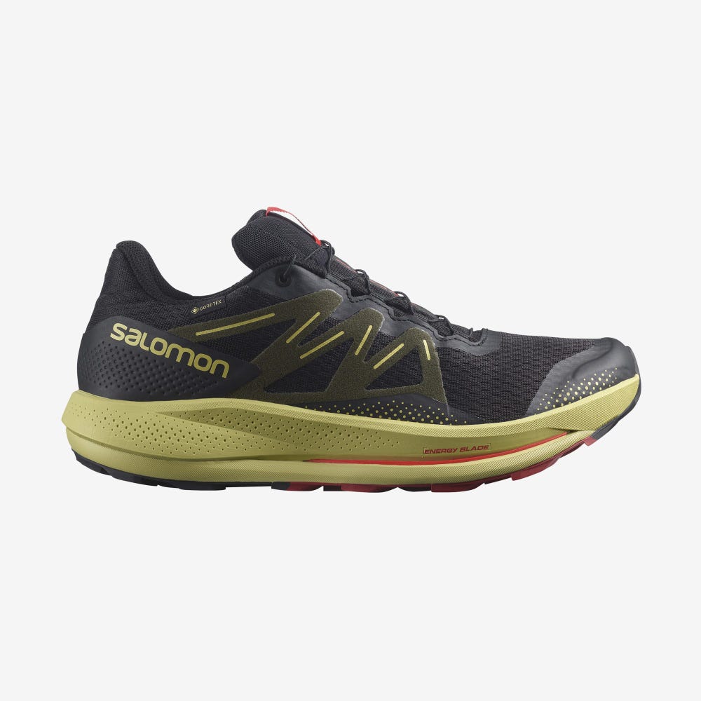 Men\'s Salomon PULSAR TRAIL GORE-TEX Trail Running Shoes Black/Green/Red | RPXM-17942