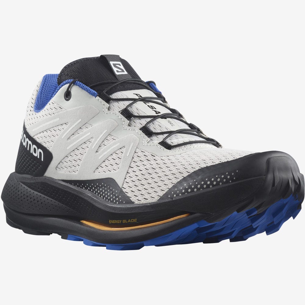 Men's Salomon PULSAR TRAIL Trail Running Shoes Beige/Black/Blue | ATZE-81029
