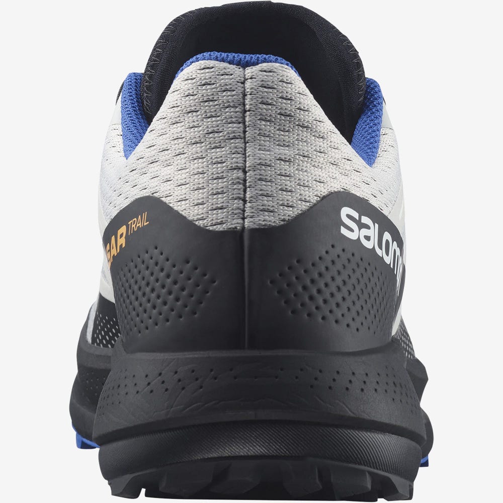 Men's Salomon PULSAR TRAIL Trail Running Shoes Beige/Black/Blue | ATZE-81029
