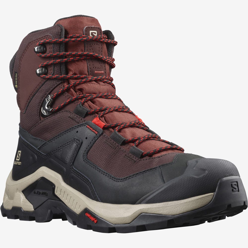 Men's Salomon QUEST ELEMENT GORE-TEX Hiking Boots Chocolate Purple/Brown | XSUE-68520