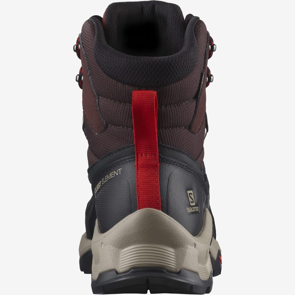 Men's Salomon QUEST ELEMENT GORE-TEX Hiking Boots Chocolate Purple/Brown | XSUE-68520