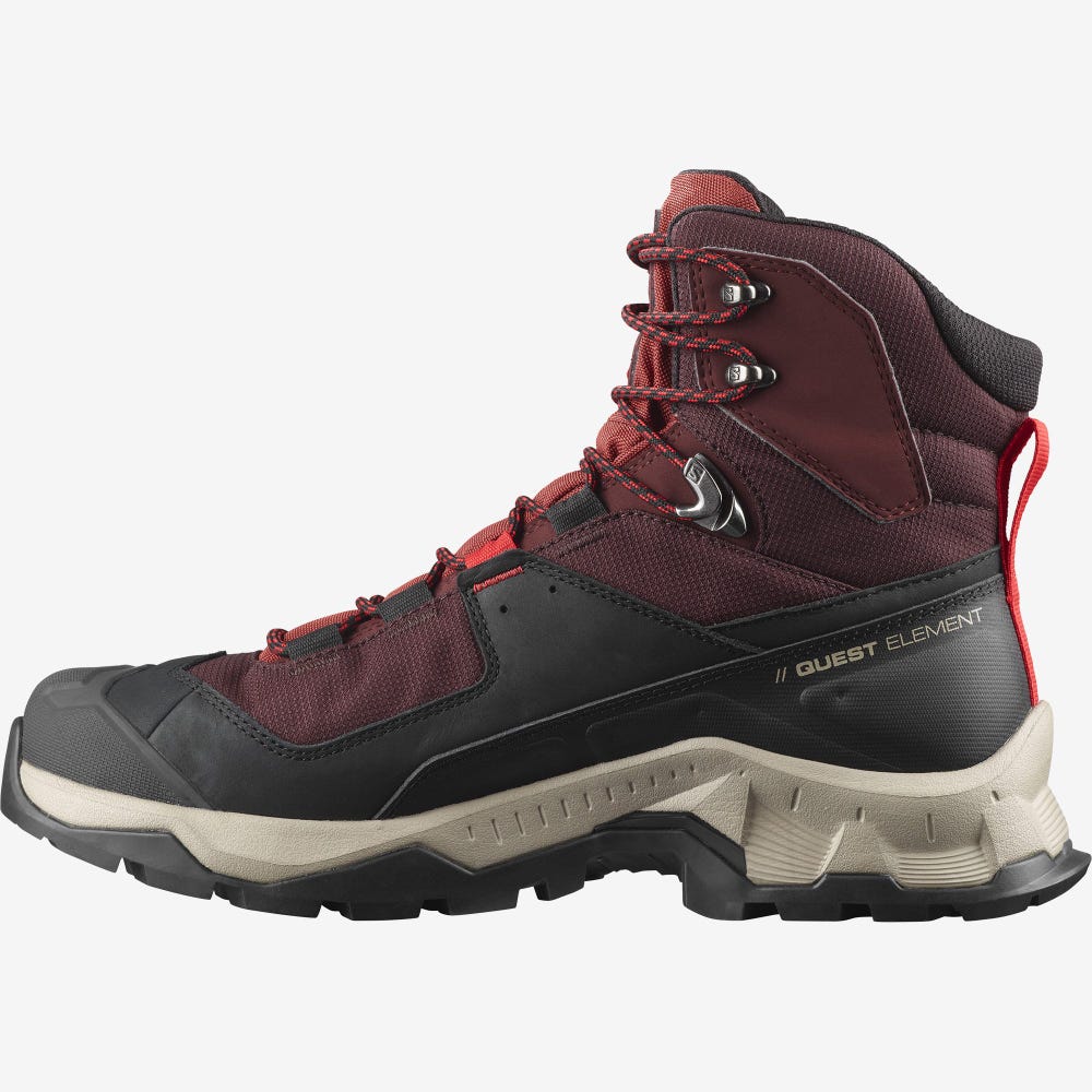 Men's Salomon QUEST ELEMENT GORE-TEX Hiking Boots Chocolate Purple/Brown | XSUE-68520