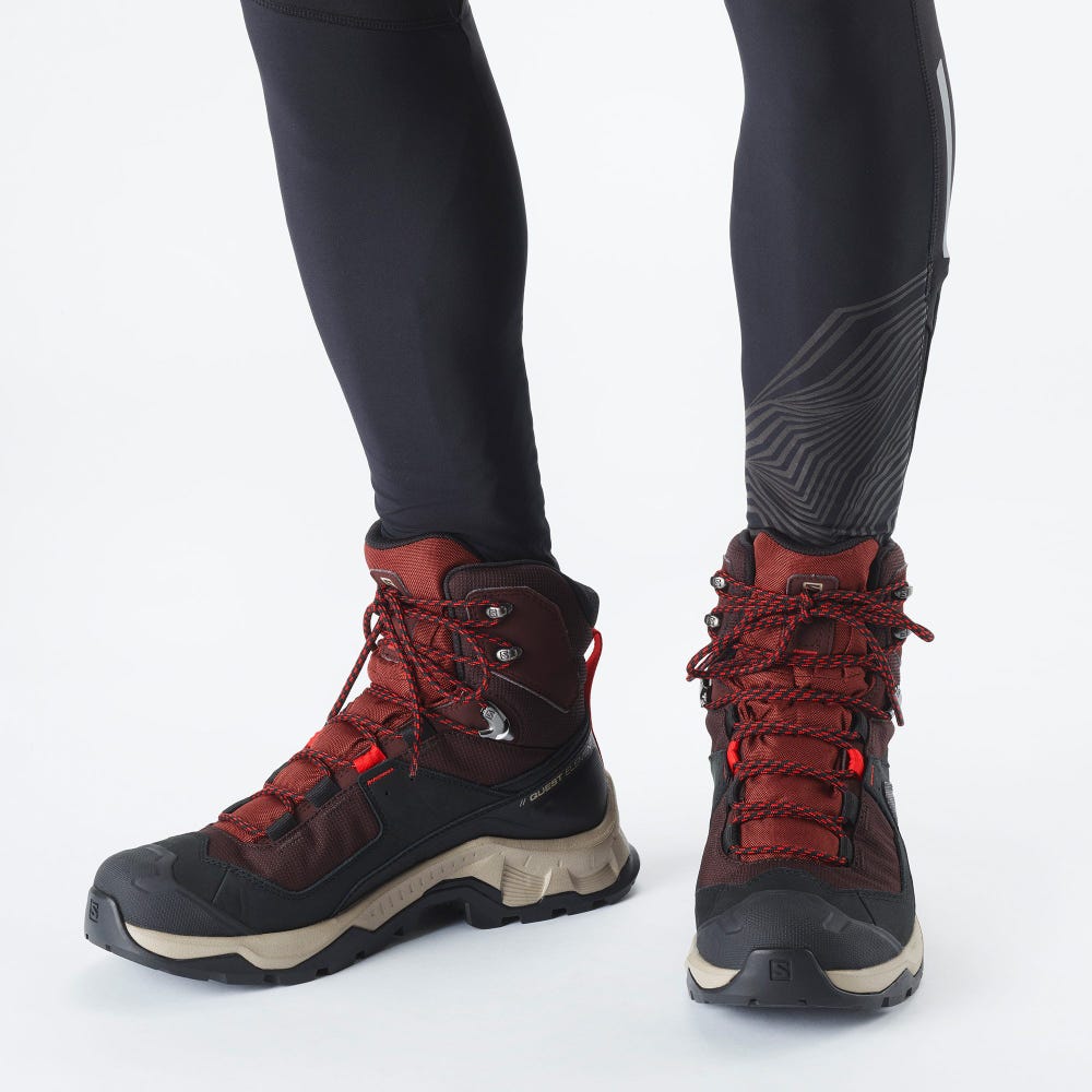 Men's Salomon QUEST ELEMENT GORE-TEX Hiking Boots Chocolate Purple/Brown | XSUE-68520