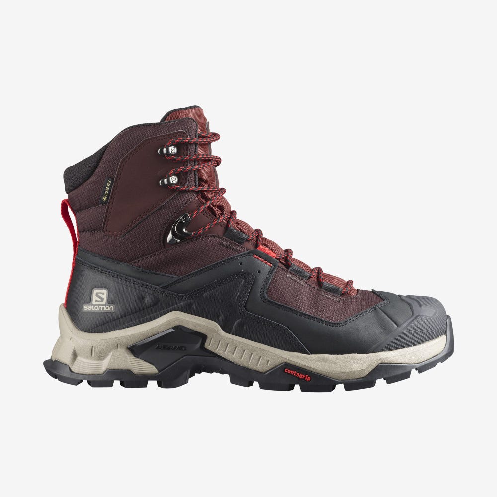 Men\'s Salomon QUEST ELEMENT GORE-TEX Hiking Boots Chocolate Purple/Brown | XSUE-68520