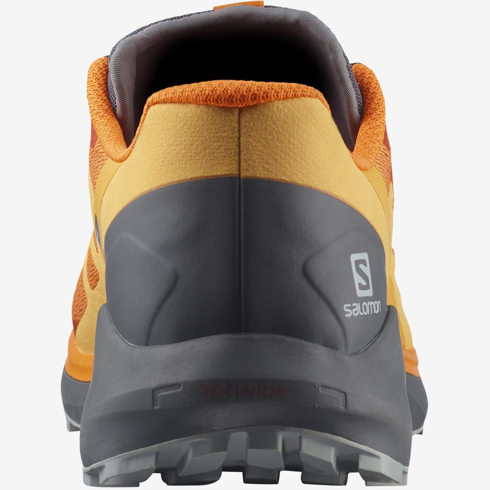 Men's Salomon SENSE RIDE 4 Trail Running Shoes Orange | RJXK-89054