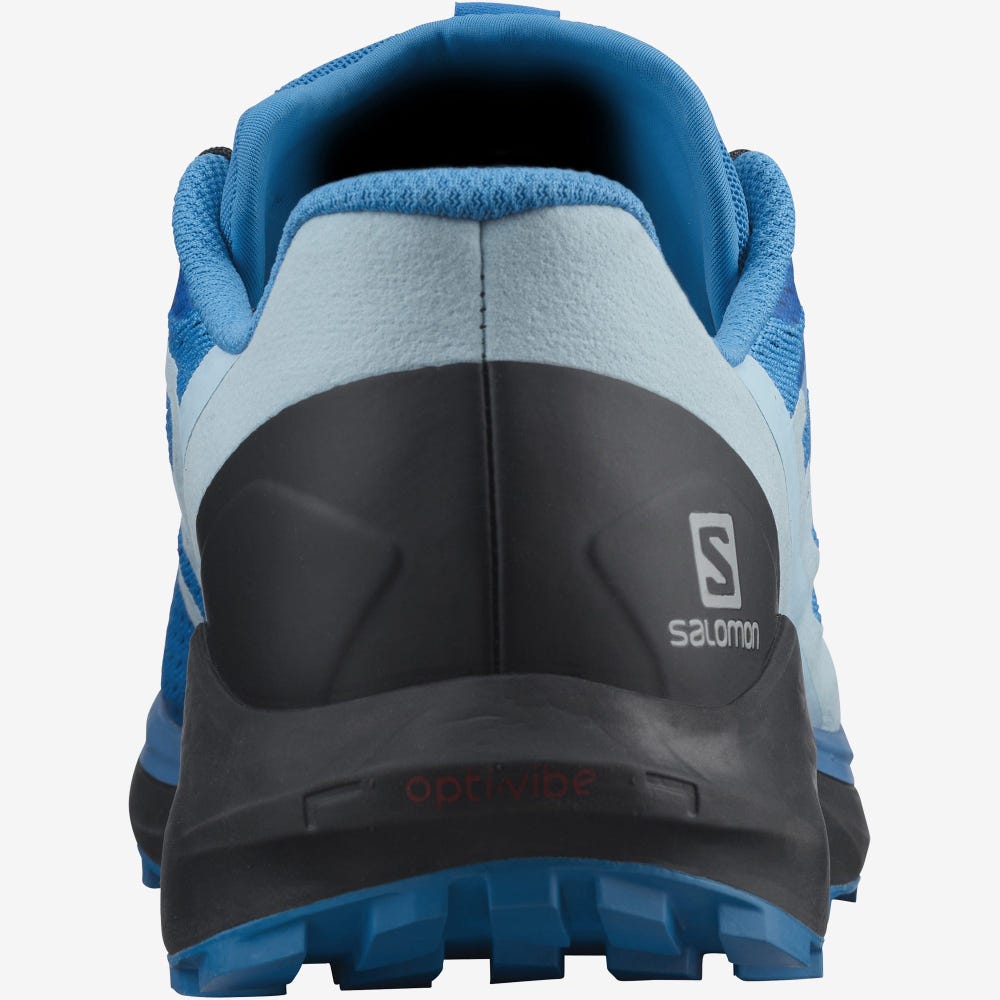 Men's Salomon SENSE RIDE 4 Trail Running Shoes Blue/Black/Blue | XLGV-46275