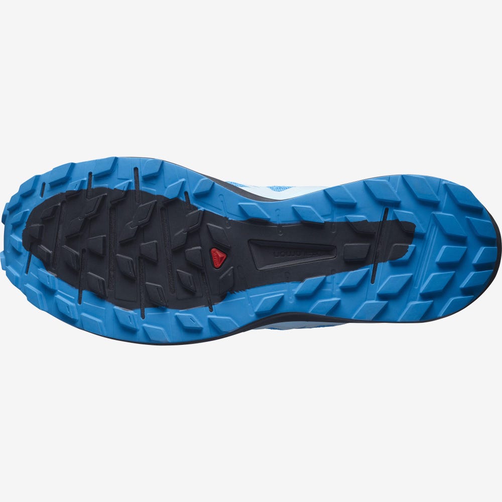Men's Salomon SENSE RIDE 4 Trail Running Shoes Blue/Black/Blue | XLGV-46275
