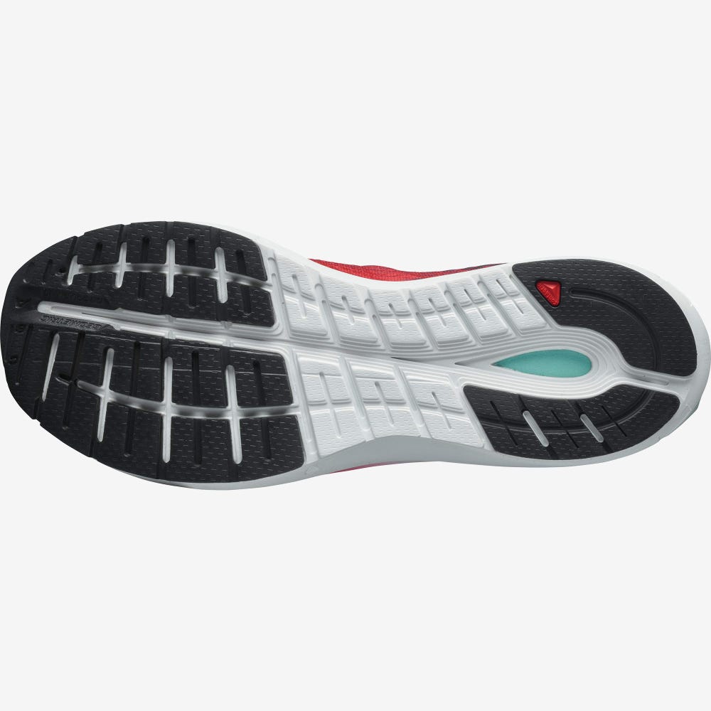 Men's Salomon SONIC 4 Accelerate Running Shoes Ren/White/Black | DNOZ-84509