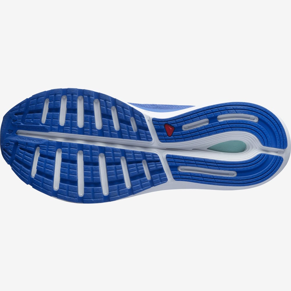 Men's Salomon SONIC 4 Balance Running Shoes Blue/White | JDAF-48973