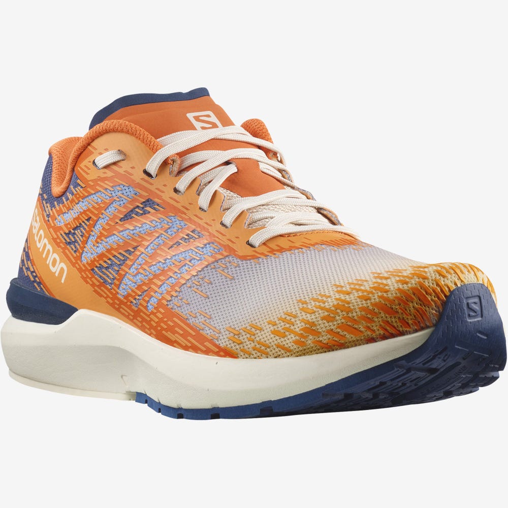 Men's Salomon SONIC 5 BALANCE Running Shoes Brown/Orange | KHEC-36709