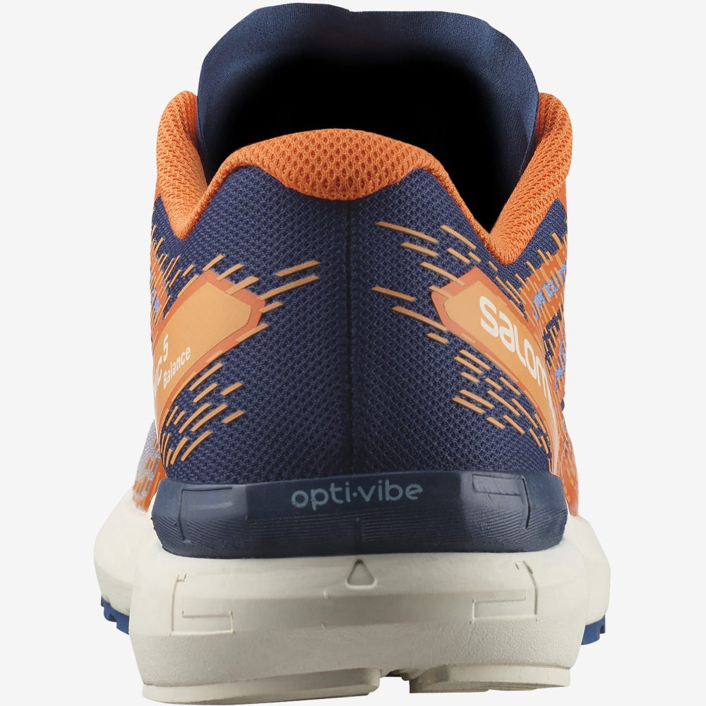 Men's Salomon SONIC 5 BALANCE Running Shoes Brown/Orange | KHEC-36709