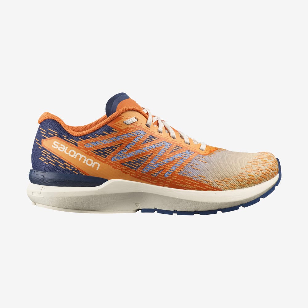 Men\'s Salomon SONIC 5 BALANCE Running Shoes Brown/Orange | KHEC-36709