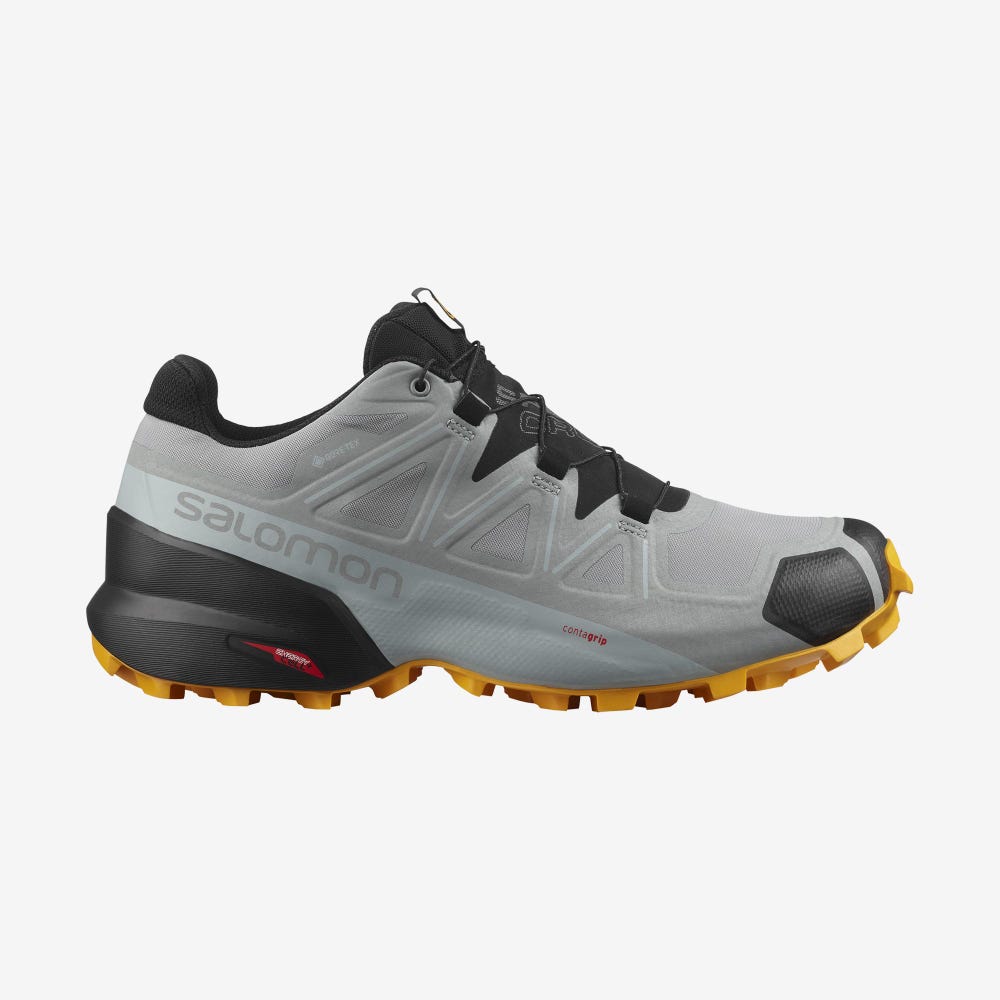 Men\'s Salomon SPEEDCROSS 5 GORE-TEX Trail Running Shoes Black | QIET-72381