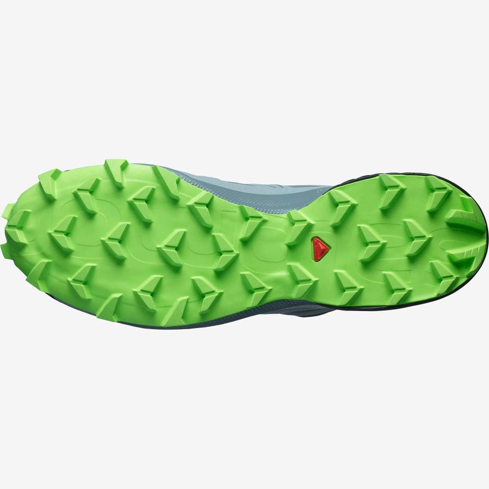 Men's Salomon SPEEDCROSS 5 Trail Running Shoes Green/Blue | CHQU-31620