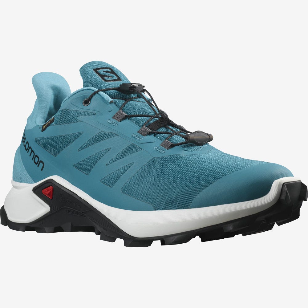 Men's Salomon SUPERCROSS 3 GORE-TEX Trail Running Shoes Blue/White | WZNS-94351