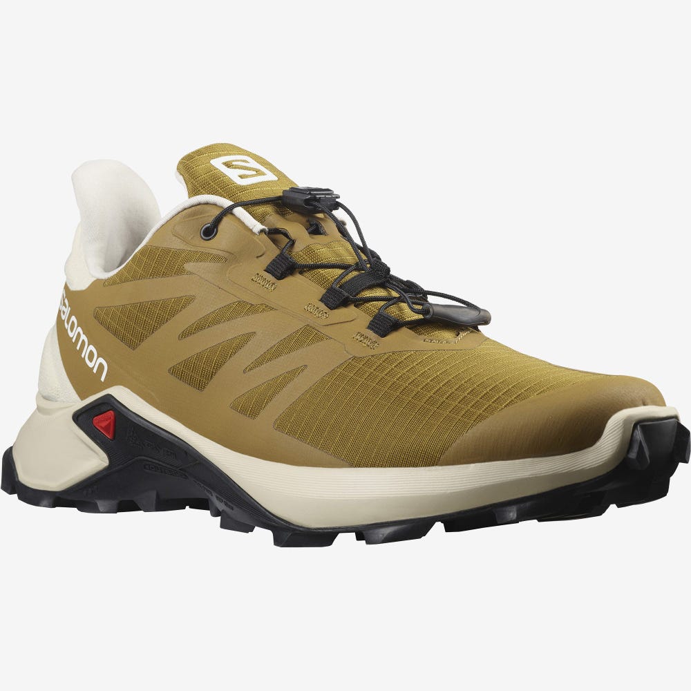 Men's Salomon SUPERCROSS 3 Trail Running Shoes Brown | XCRT-84120