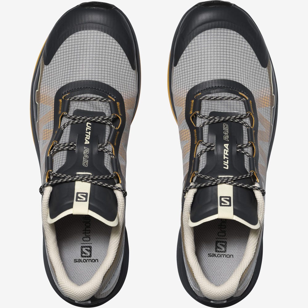 Men's Salomon ULTRA RAID Sneakers Grey/Brown | ZBJN-10638