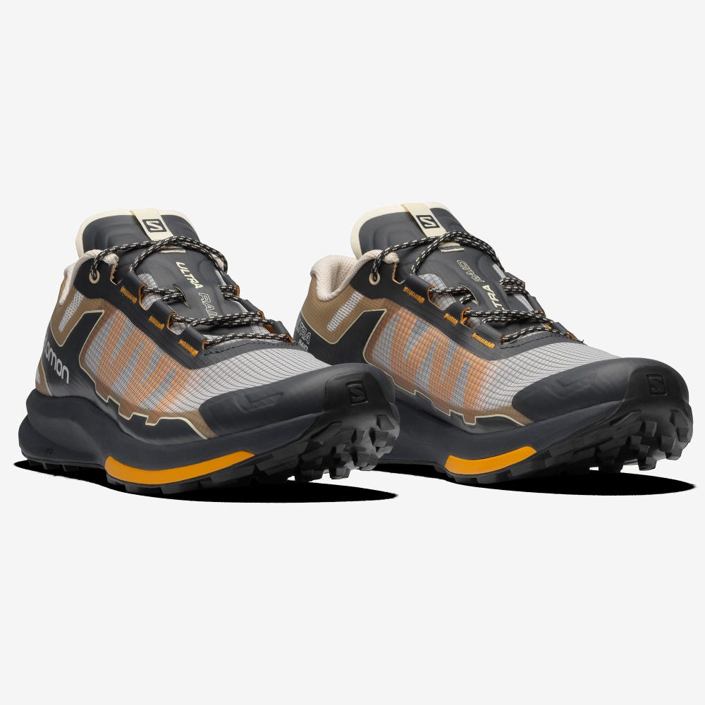 Men's Salomon ULTRA RAID Sneakers Grey/Brown | ZBJN-10638