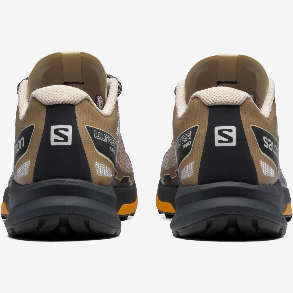 Men's Salomon ULTRA RAID Sneakers Grey/Brown | ZBJN-10638