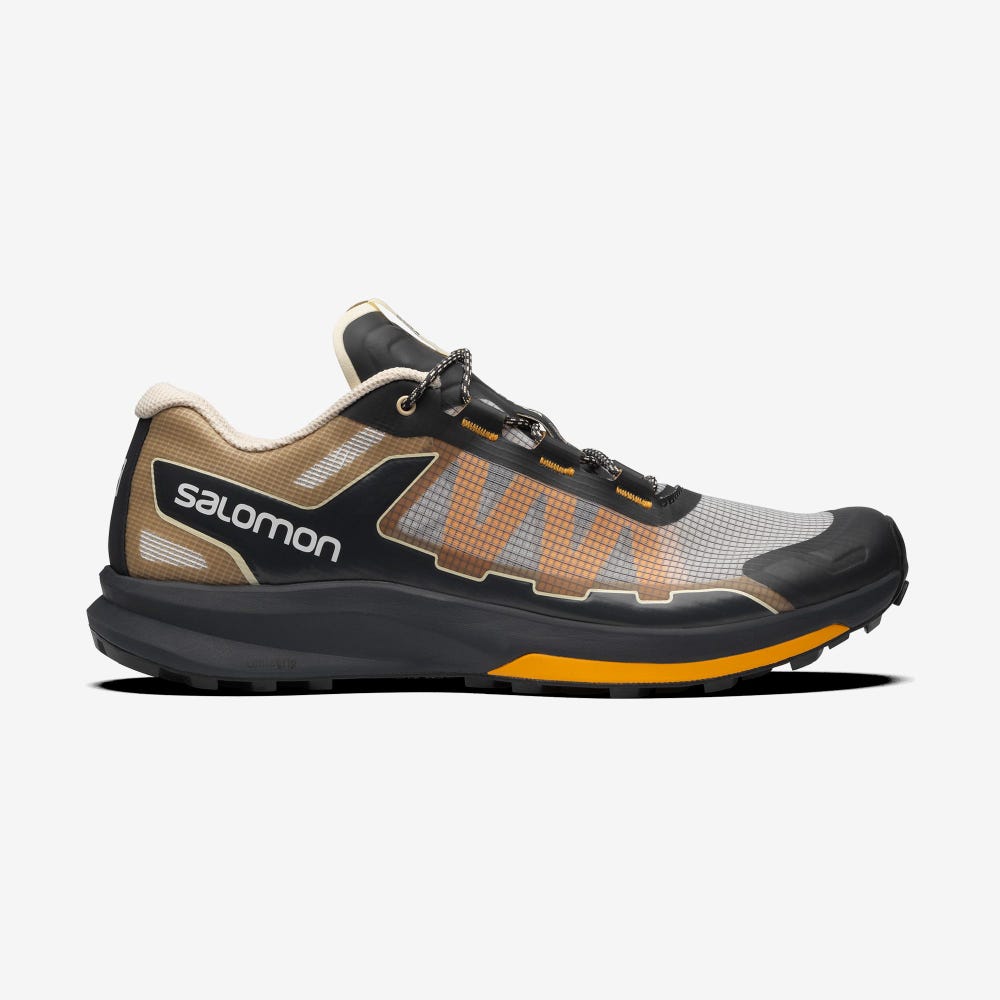 Men\'s Salomon ULTRA RAID Sneakers Grey/Brown | ZBJN-10638