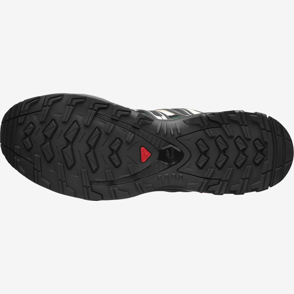 Men's Salomon XA PRO 3D Sneakers Beige/Black/Deep Green | UCQH-49857