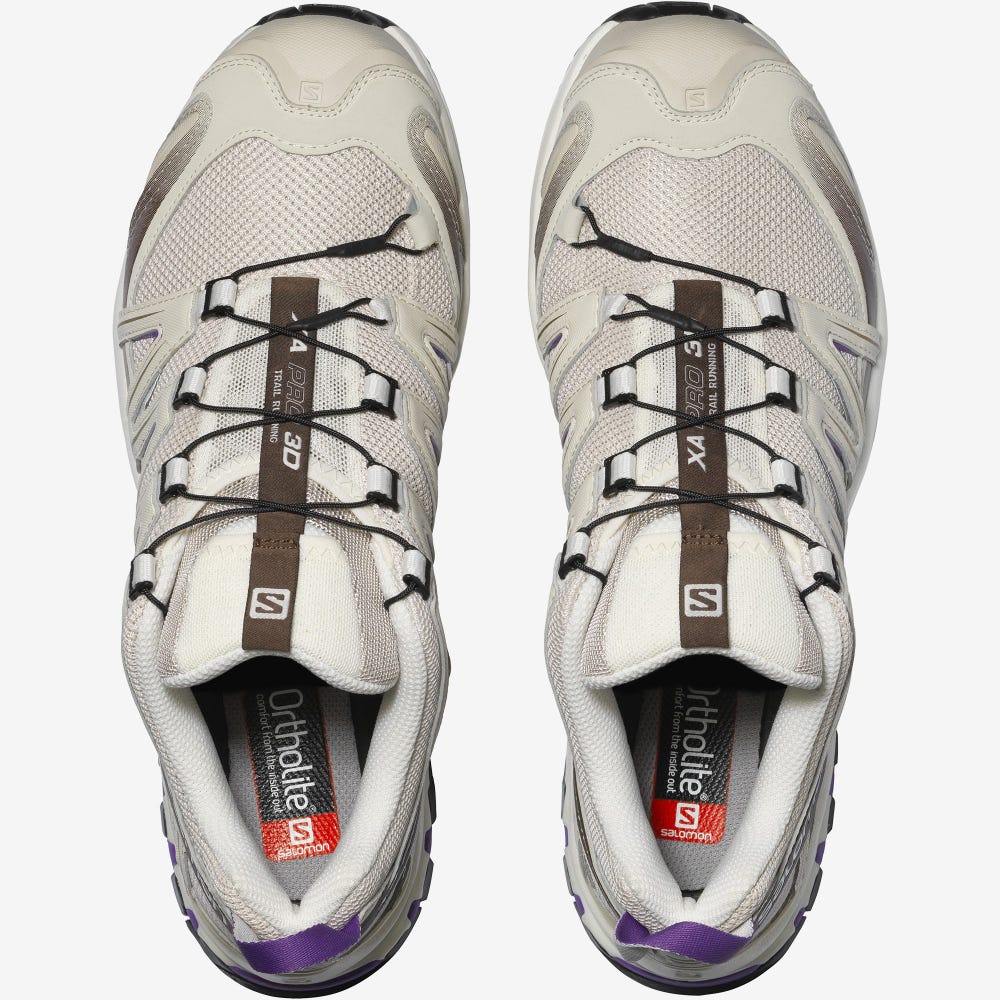 Men's Salomon XA PRO 3D Sneakers Beige/Chocolate/Royal Purple | AZIU-45980