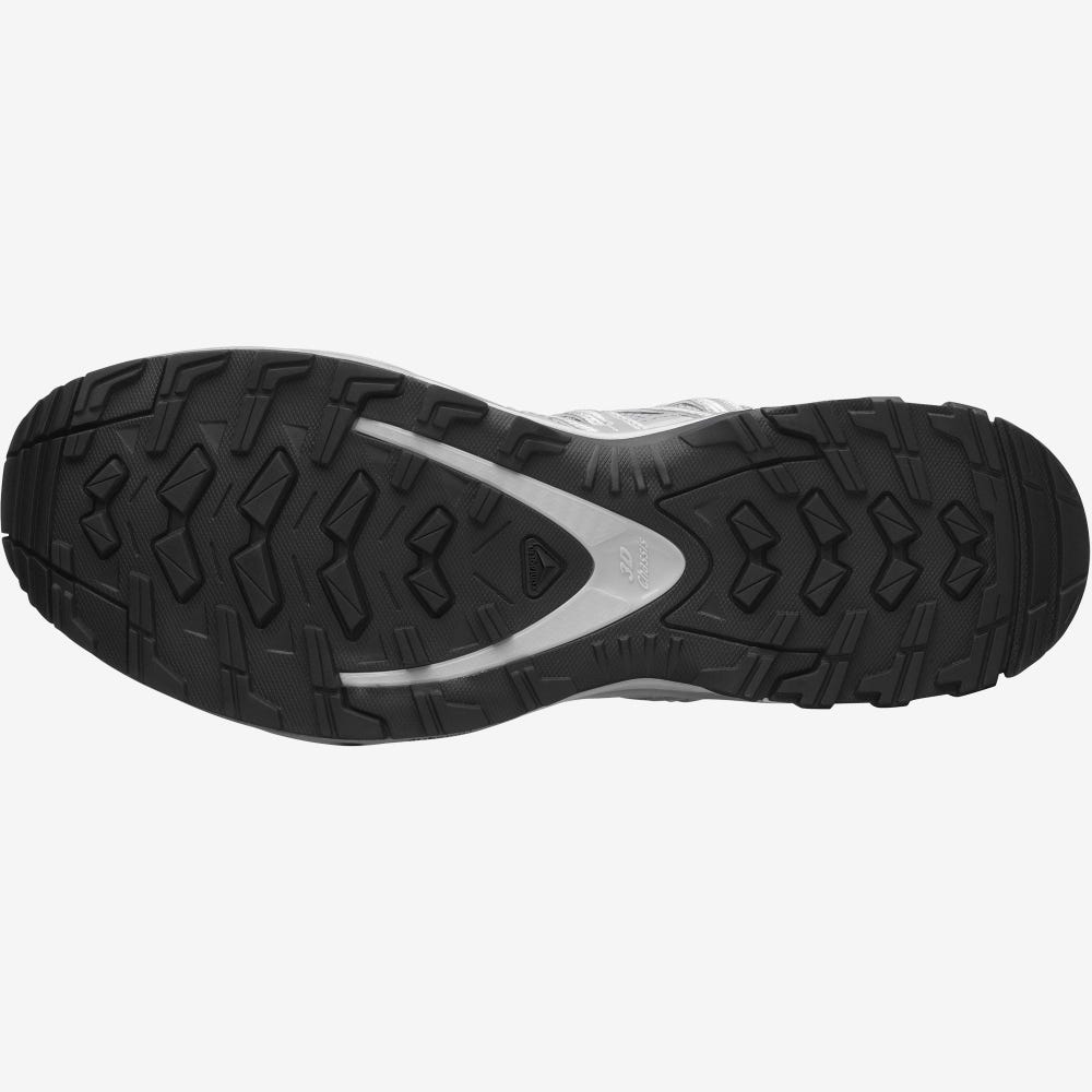 Men's Salomon XA PRO 3D Sneakers Grey/Silver | NRWJ-93871