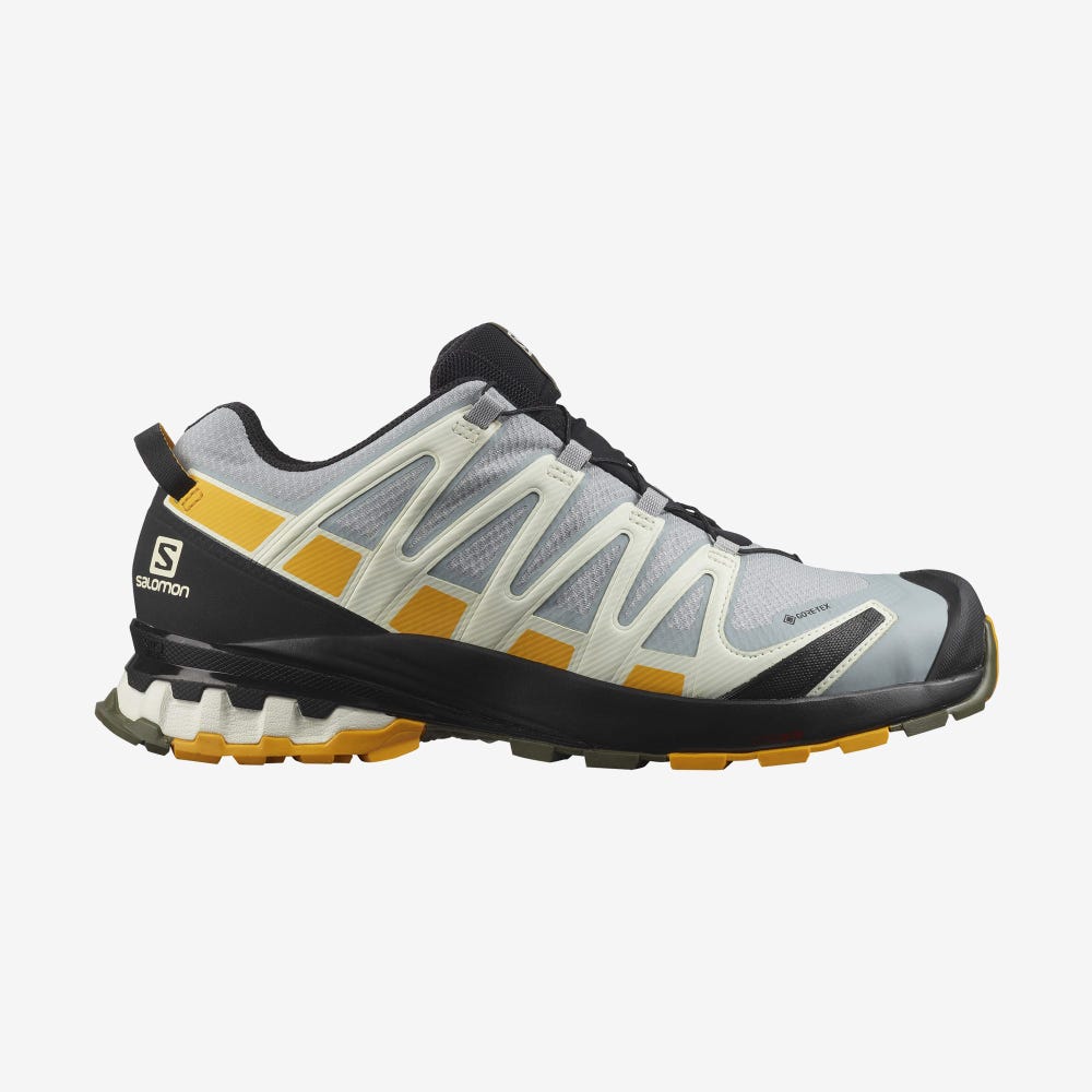 Men\'s Salomon XA PRO 3D v8 GORE-TEX Hiking Shoes Black | DGOS-32675