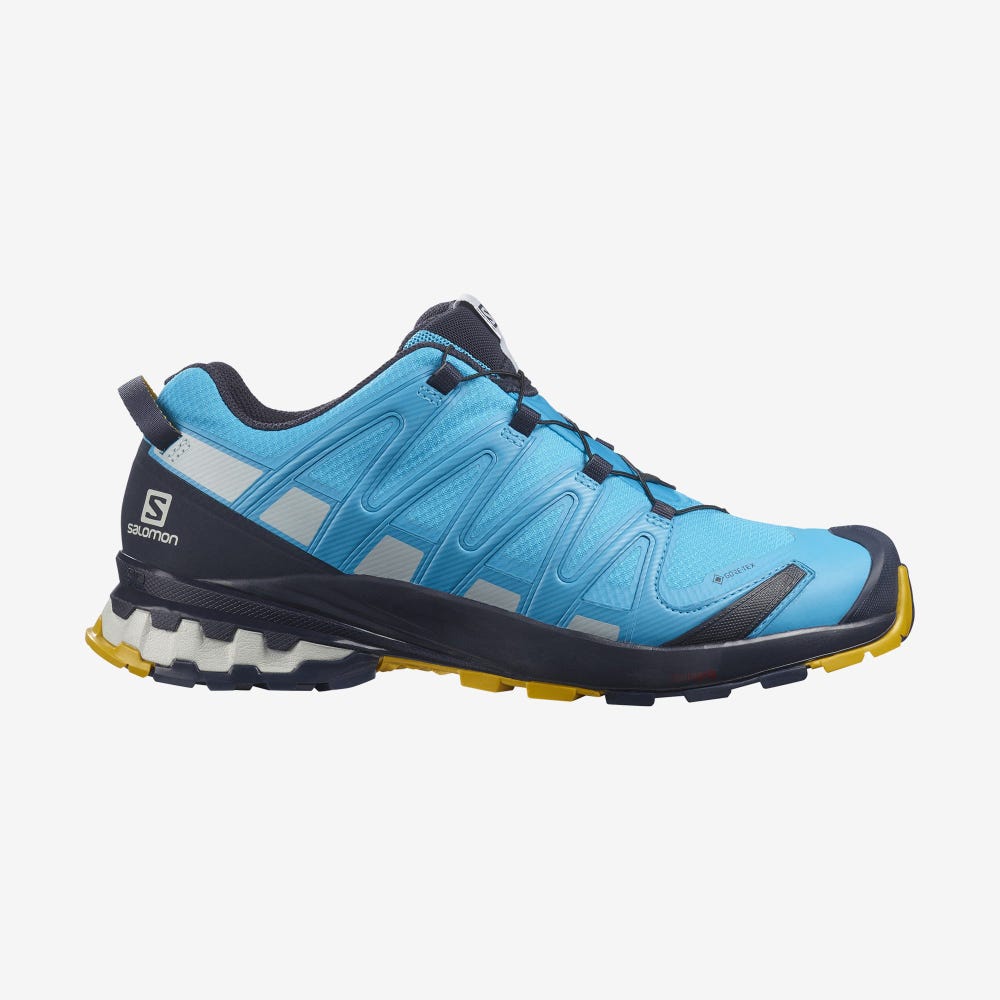 Men\'s Salomon XA PRO 3D v8 GORE-TEX Hiking Shoes Blue | FAZK-45098